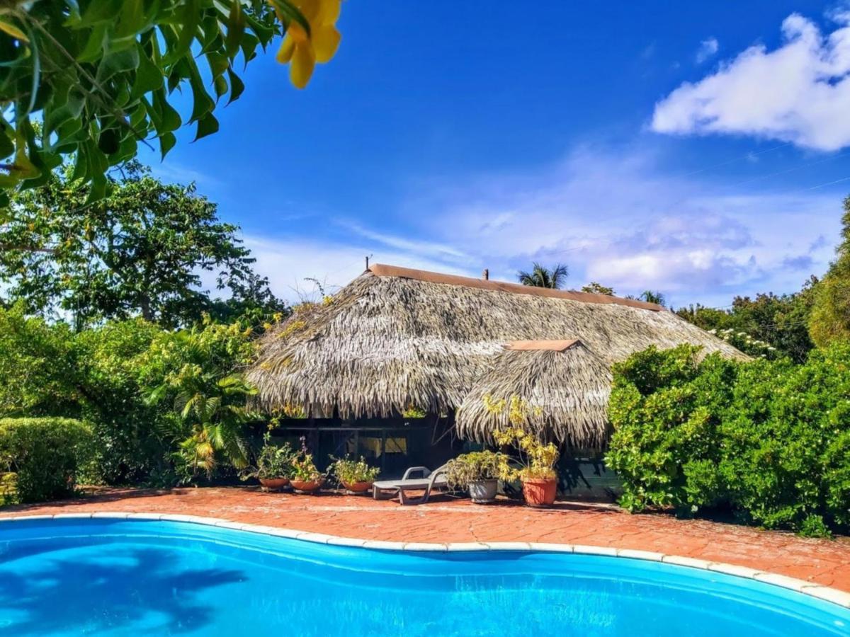 Huahine - Bungalow Pitate Фар Экстерьер фото